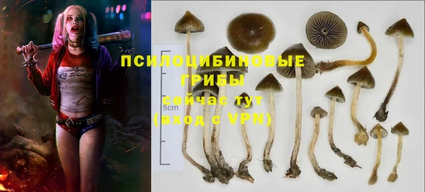 бошки Арсеньев