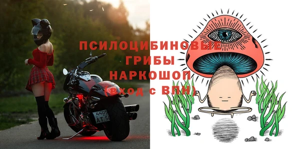spice Протвино